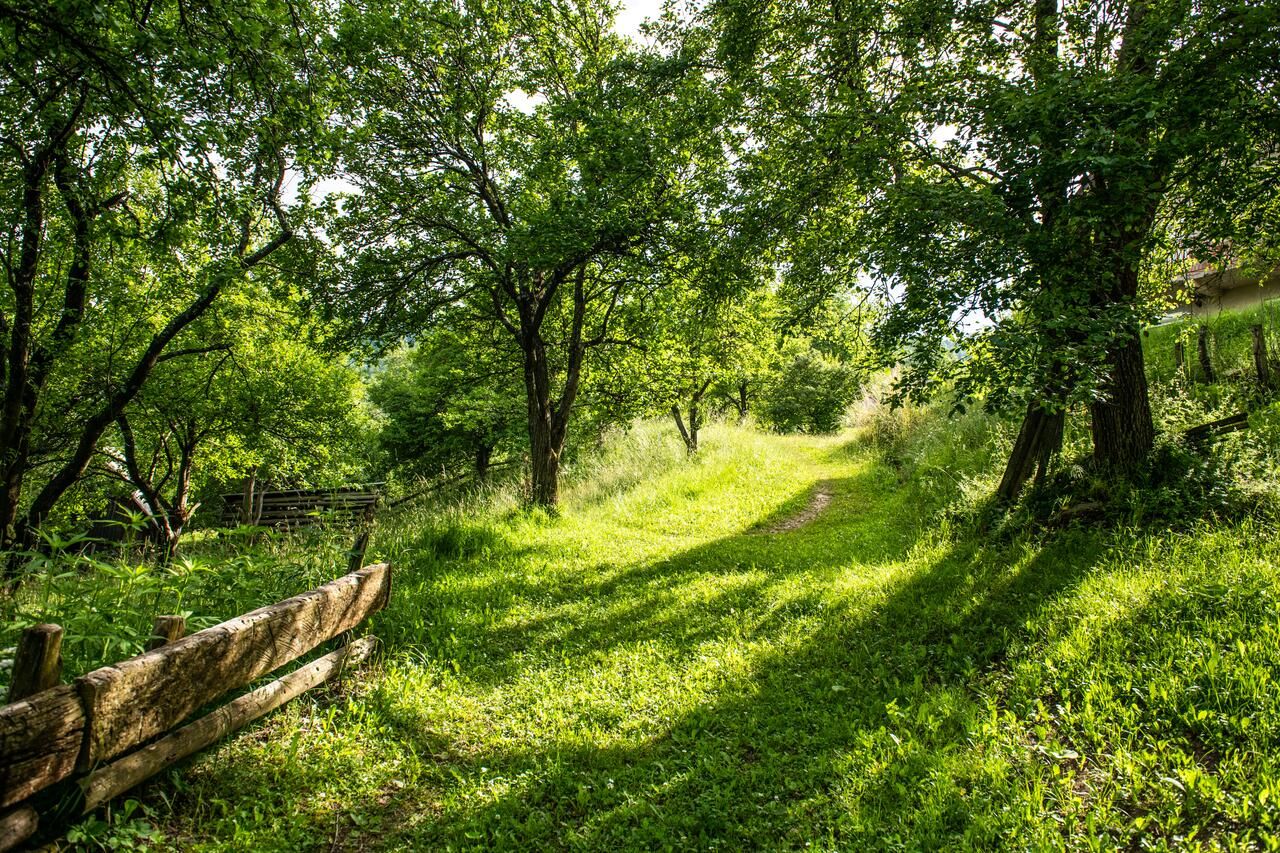 Апартаменты AgroV Rooms Мойковац