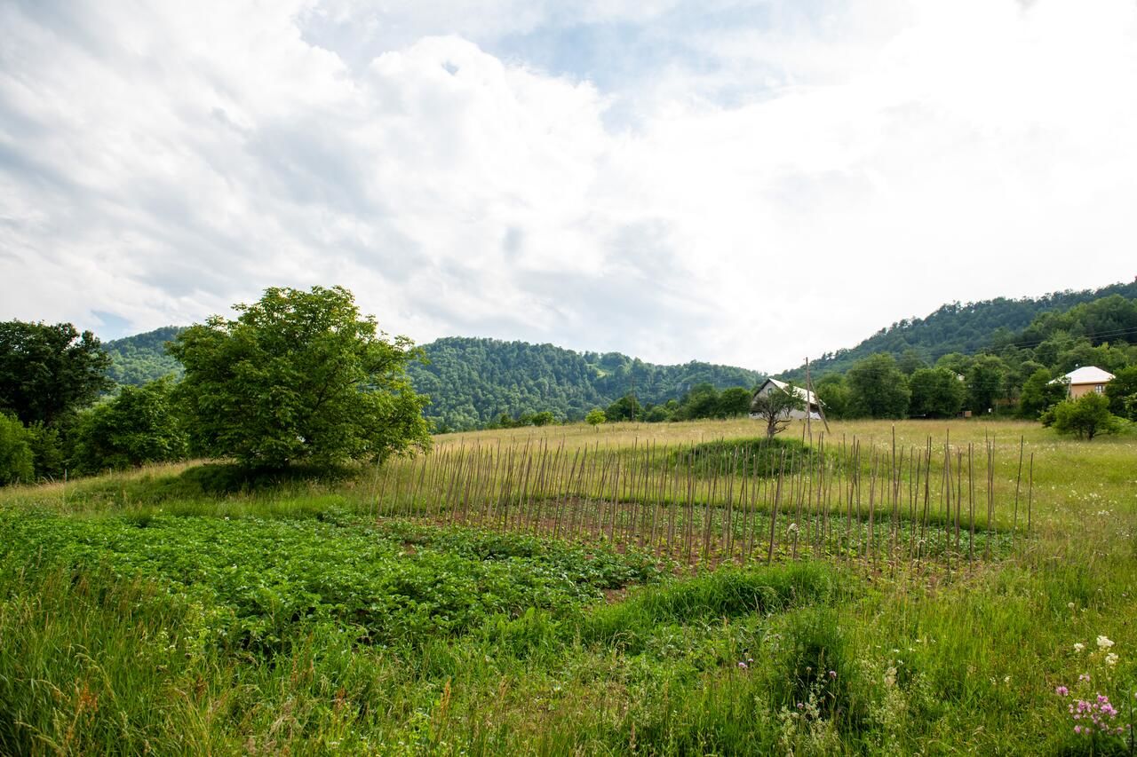 Апартаменты AgroV Rooms Мойковац