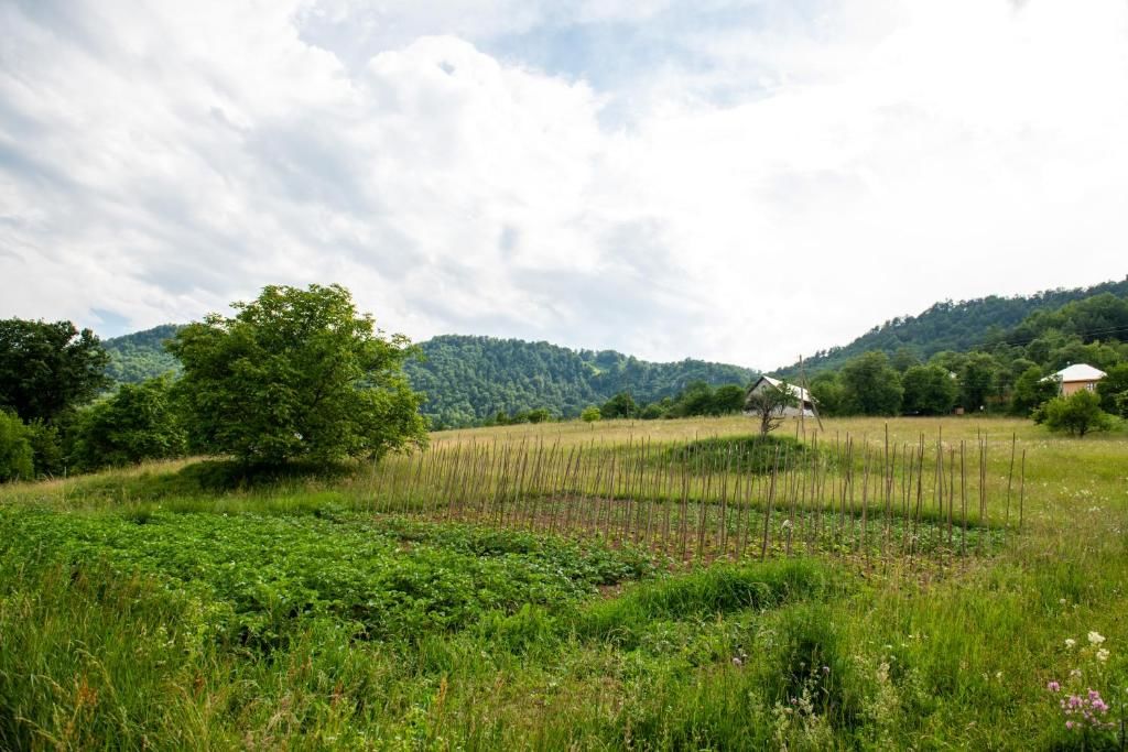 Апартаменты AgroV Rooms Мойковац