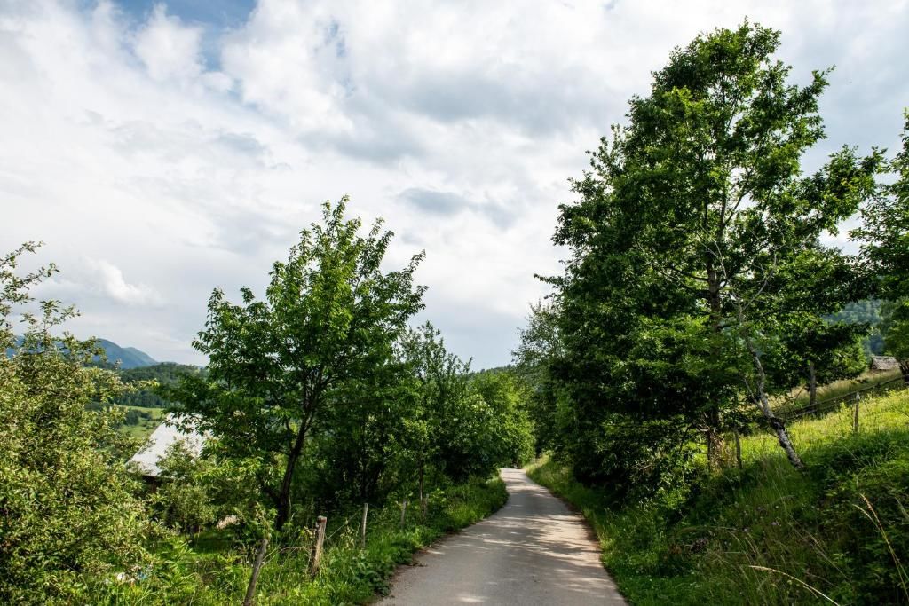 Апартаменты AgroV Rooms Мойковац