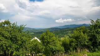 Апартаменты AgroV Rooms Мойковац Дом с 1 спальней-14