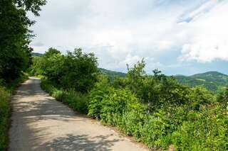 Апартаменты AgroV Rooms Мойковац Дом с 1 спальней-19