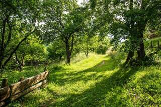 Апартаменты AgroV Rooms Мойковац Апартаменты с видом на горы-17