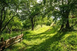 Апартаменты AgroV Rooms Мойковац Апартаменты с видом на горы-32