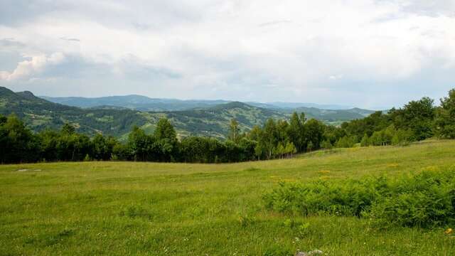 Апартаменты AgroV Rooms Мойковац-23