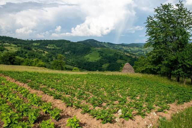 Апартаменты AgroV Rooms Мойковац-25