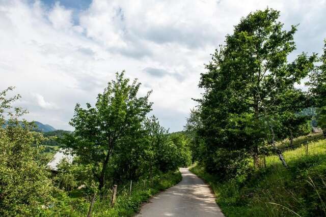 Апартаменты AgroV Rooms Мойковац-50